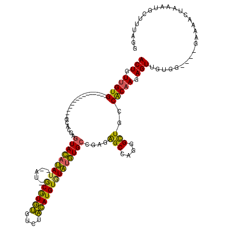 secondary structure