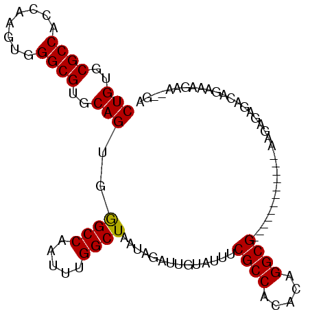 secondary structure