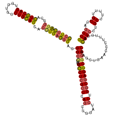 secondary structure