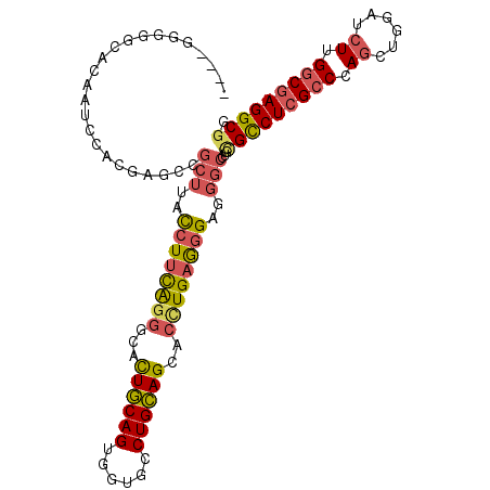 secondary structure