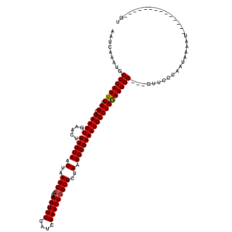 secondary structure