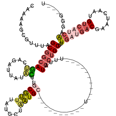 secondary structure