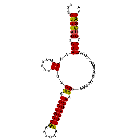 secondary structure