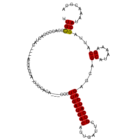 secondary structure
