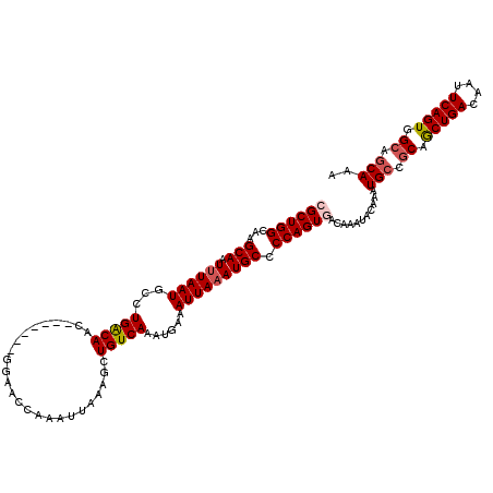 secondary structure