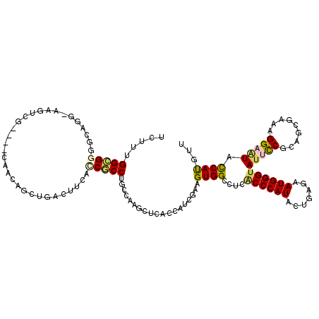 secondary structure
