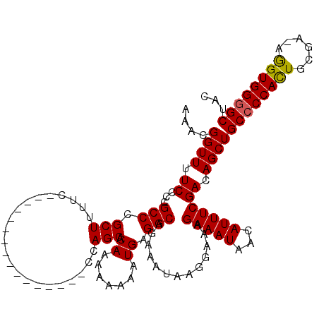 secondary structure