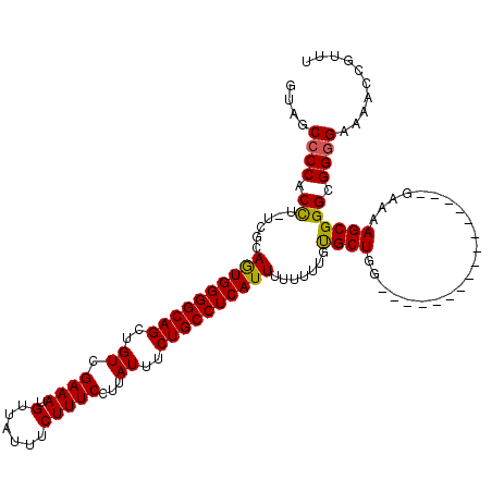 secondary structure