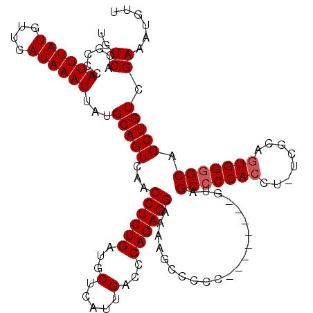 secondary structure