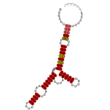 secondary structure