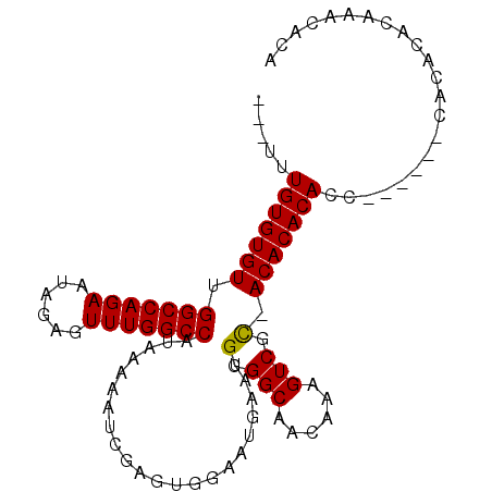 secondary structure