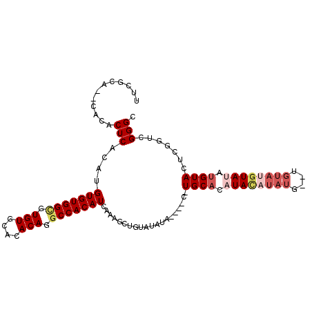 secondary structure