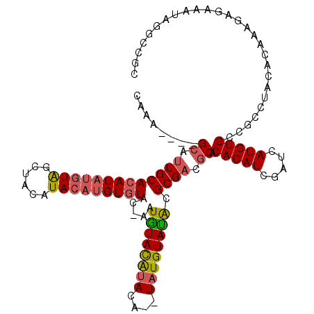 secondary structure
