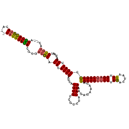 secondary structure
