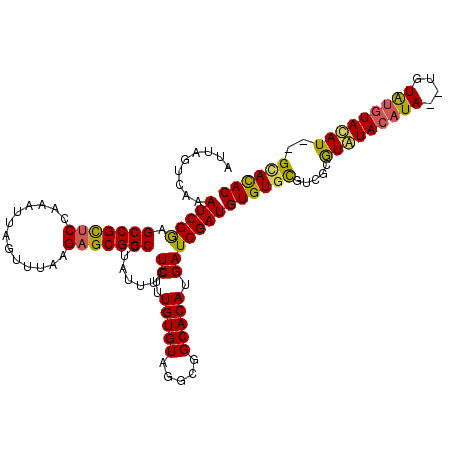 secondary structure