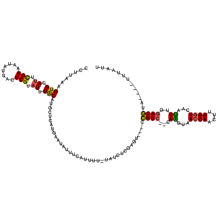 secondary structure