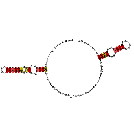 secondary structure