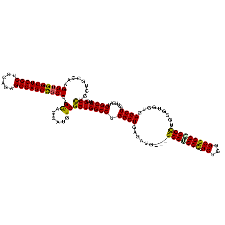 secondary structure