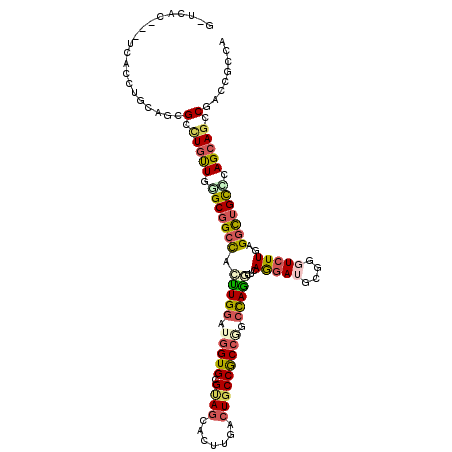 secondary structure