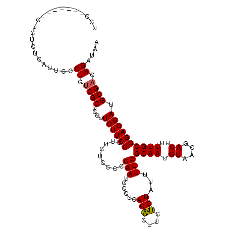 secondary structure