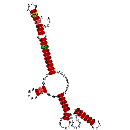 secondary structure