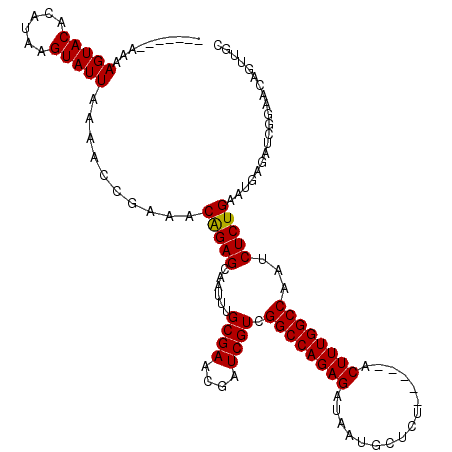 secondary structure