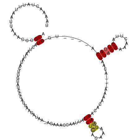 secondary structure
