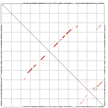 dotplot