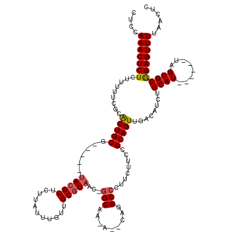 secondary structure