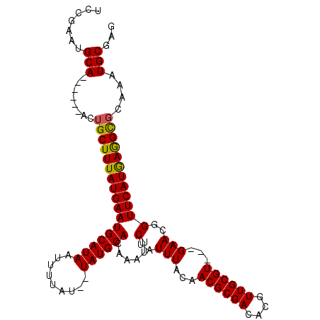 secondary structure