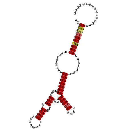 secondary structure