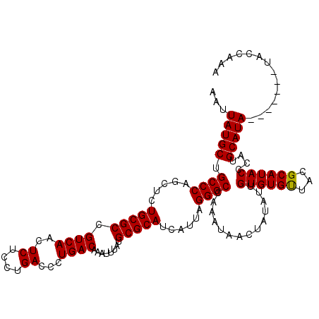secondary structure