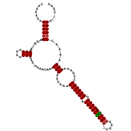 secondary structure