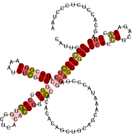 secondary structure