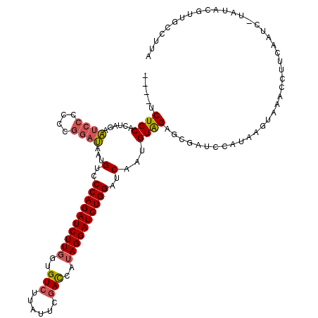 secondary structure