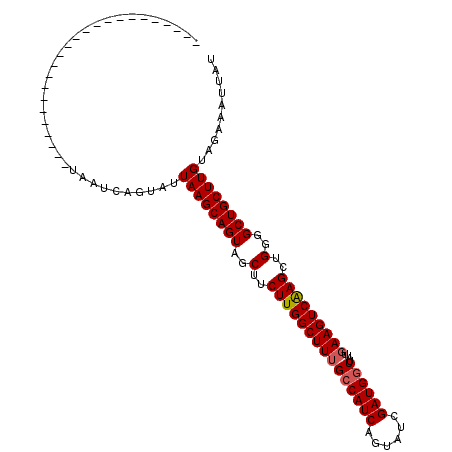 secondary structure