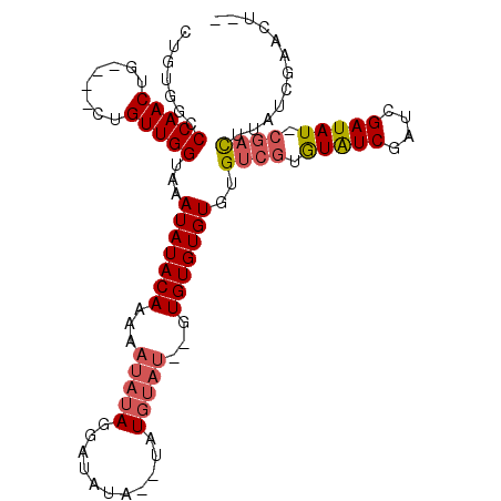 secondary structure