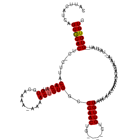 secondary structure
