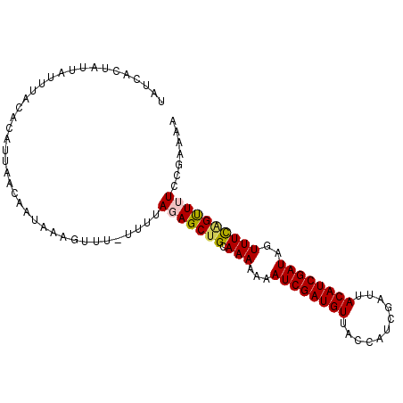secondary structure
