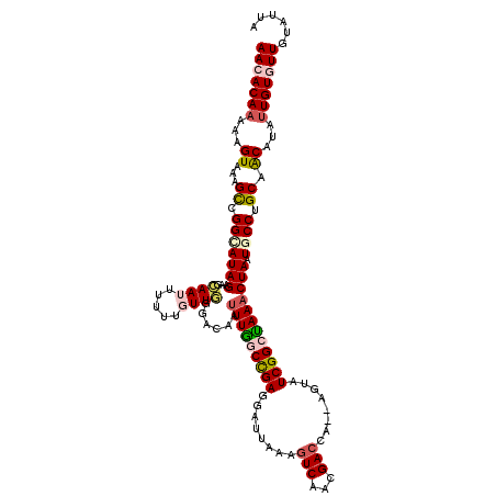 secondary structure