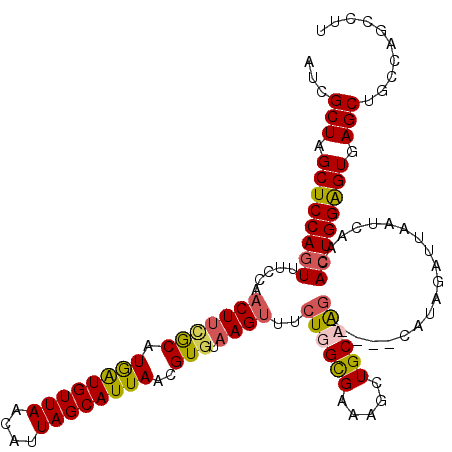 secondary structure