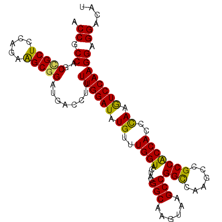 secondary structure