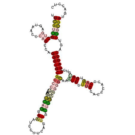 secondary structure