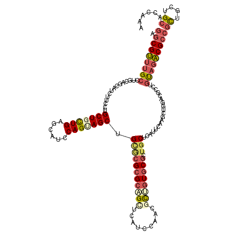 secondary structure