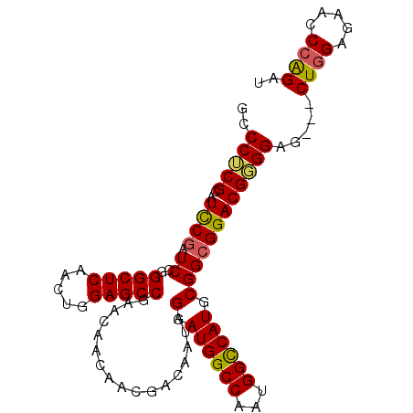 secondary structure