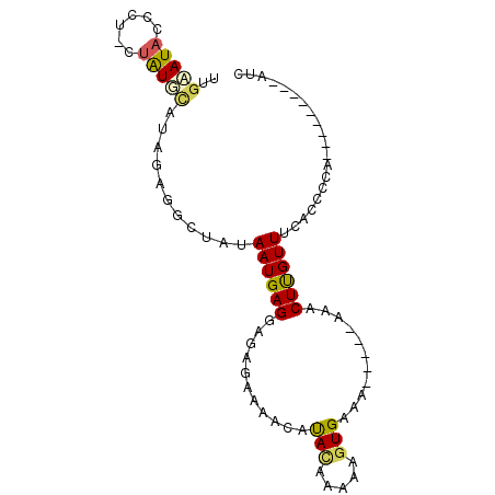 secondary structure