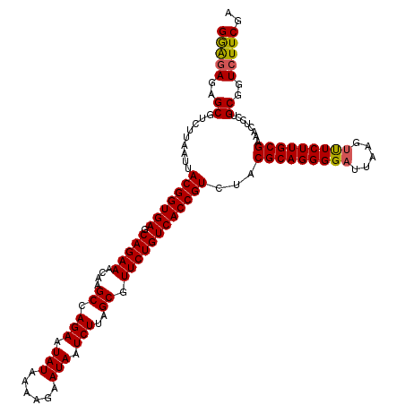 secondary structure