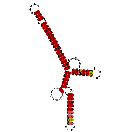 secondary structure