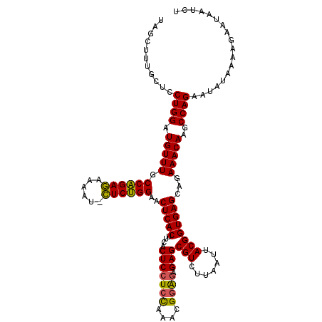 secondary structure