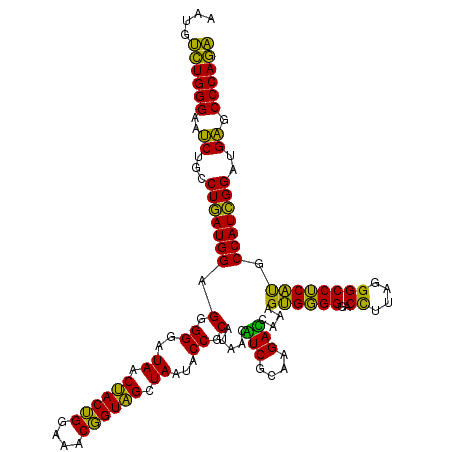 secondary structure